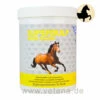 NutriLabs Supersulf MSM Equin 1 NutriLabs Supersulf MSM Equin -Dechra Verkaufe nutrilabs supersulf msm equin pferd