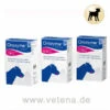 Orozyme Kaustreifen -Dechra Verkaufe orozyme kaustreifen hund