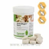 PlantaVet ArthroRegén Novo Für Hunde, Katzen & Nager 1 PlantaVet ArthroRegén Novo Für Hunde, Katzen & Nager -Dechra Verkaufe plantavet arthroregen novo kleintiere