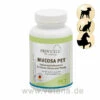 Mucosa PET 2 Mucosa PET -Dechra Verkaufe provicell mucosa pet