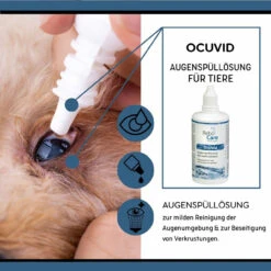 ReboCare Ocuvid Augenspüllösung -Dechra Verkaufe rebocare ocuvid augenspuelloesung tiere3