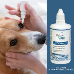ReboCare Ocuvid Augenspüllösung -Dechra Verkaufe rebocare ocuvid augenspuelloesung tiere4