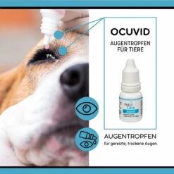 ReboCare Ocuvid Augentropfen Für Tiere -Dechra Verkaufe rebocare ocuvid augentropfen tiere3