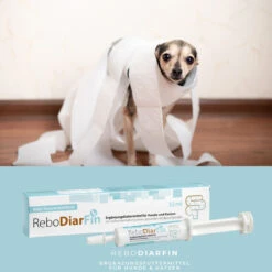 ReboVet ReboDiarFin Für Hunde & Katzen -Dechra Verkaufe rebodiarfin hund katze4