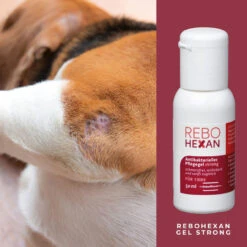 ReboHexan Gel Strong 9 ReboHexan Gel Strong -Dechra Verkaufe rebohexan gel strong tiere4