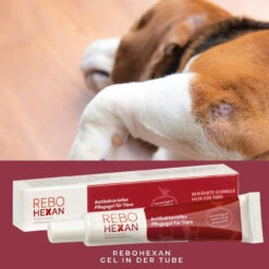 ReboHexan Pflegegel -Dechra Verkaufe rebohexan pflegegel tiere4