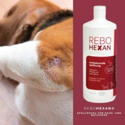 ReboHexan Spüllösung -Dechra Verkaufe rebohexan spuelloesung tiere4