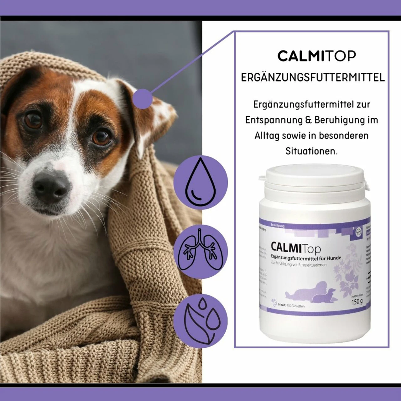 ReboVet CALMITop Für Hunde 4 ReboVet CALMITop Für Hunde – Bild 2