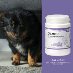 ReboVet CALMITop Für Hunde 10 ReboVet CALMITop Für Hunde -Dechra Verkaufe rebopharm calmitop hund3