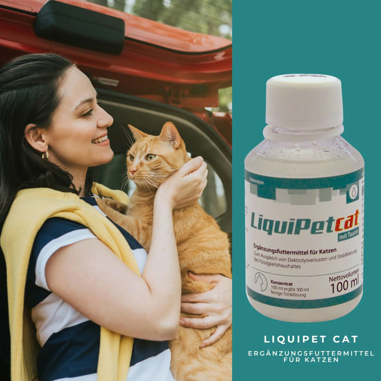 ReboVet LiquiPet Cat Für Katzen 4 ReboVet LiquiPet Cat Für Katzen – Bild 2