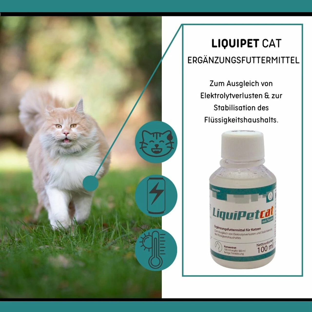 ReboVet LiquiPet Cat Für Katzen 5 ReboVet LiquiPet Cat Für Katzen – Bild 3
