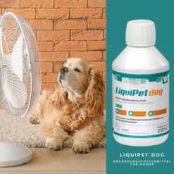 ReboVet LiquiPet Dog Für Hunde -Dechra Verkaufe rebopharm liquipet dog3