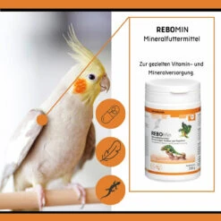 ReboVet REBOMin Für Vögel & Reptilien -Dechra Verkaufe rebopharm rebomin kleintier3