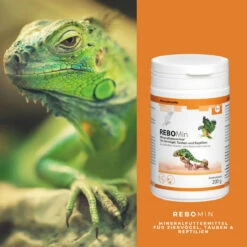 ReboVet REBOMin Für Vögel & Reptilien -Dechra Verkaufe rebopharm rebomin kleintier4
