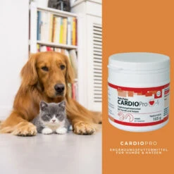 ReboTabs CARDIOPro Für Hunde & Katzen -Dechra Verkaufe rebotabs cardiopro4