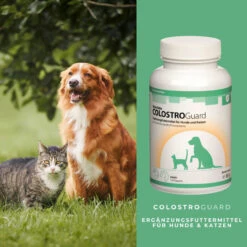 ReboTabs COLOSTROGuard Für Hunde & Katzen -Dechra Verkaufe rebotabs colostroguard4
