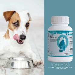 ReboTabs DiAssist Dog Für Hunde -Dechra Verkaufe rebotabs diassist dog4