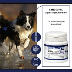 ReboTabs SYNOGuard Für Hunde -Dechra Verkaufe rebotabs synoguard hund3