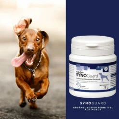 ReboTabs SYNOGuard Für Hunde -Dechra Verkaufe rebotabs synoguard hund4