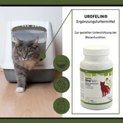 ReboTabs UroFelin Für Katzen -Dechra Verkaufe rebotabs urofelin katze3