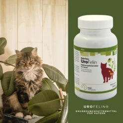 ReboTabs UroFelin Für Katzen -Dechra Verkaufe rebotabs urofelin katze4