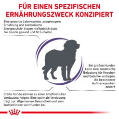 Royal Canin Expert Adult Large Dogs Trockenfutter Für Hunde 13 Royal Canin Expert Adult Large Dogs Trockenfutter Für Hunde -Dechra Verkaufe royal canin adult large dogs hund3