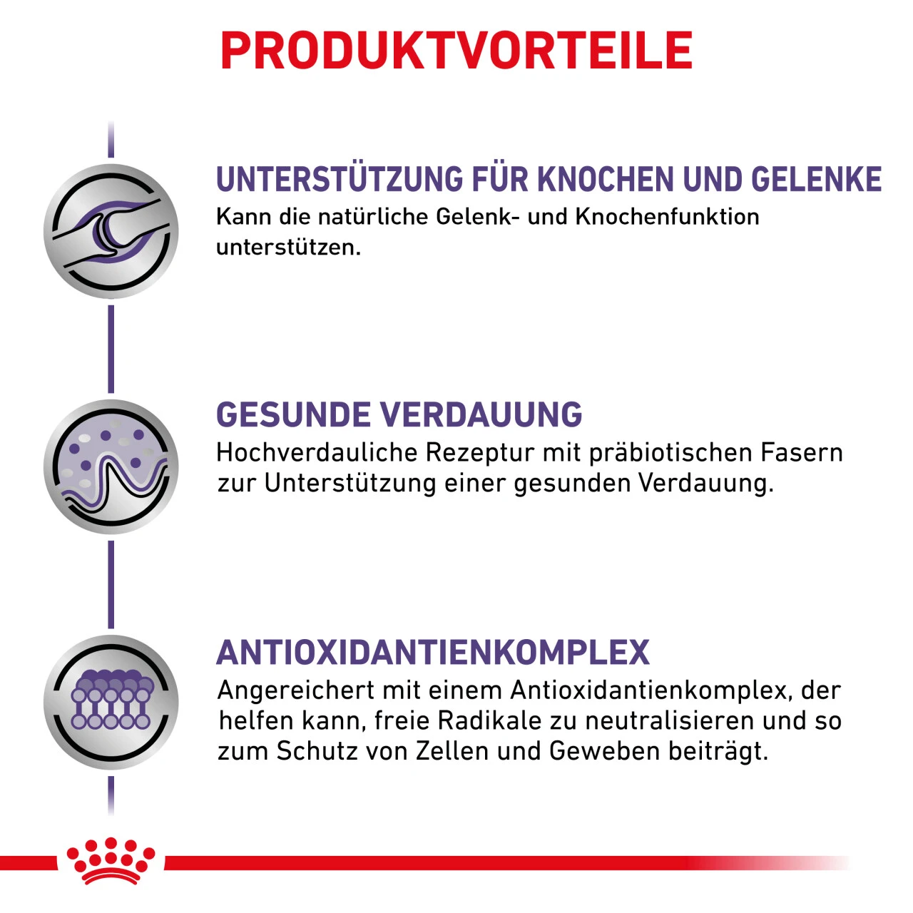 Royal Canin Expert Adult Large Dogs Trockenfutter Für Hunde 7 Royal Canin Expert Adult Large Dogs Trockenfutter Für Hunde – Bild 5