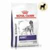 Royal Canin Expert Adult Medium Dogs Trockenfutter Für Hunde -Dechra Verkaufe royal canin adult medium dogs hund