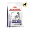 Royal Canin Expert Dental Medium & Large Dogs Trockenfutter Für Hunde -Dechra Verkaufe royal canin dental medim large dogs