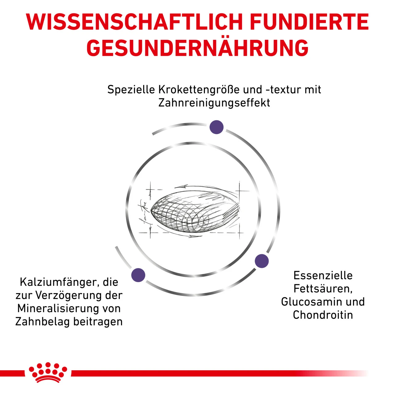 Royal Canin Expert Dental Medium & Large Dogs Trockenfutter Für Hunde 5 Royal Canin Expert Dental Medium & Large Dogs Trockenfutter Für Hunde – Bild 3