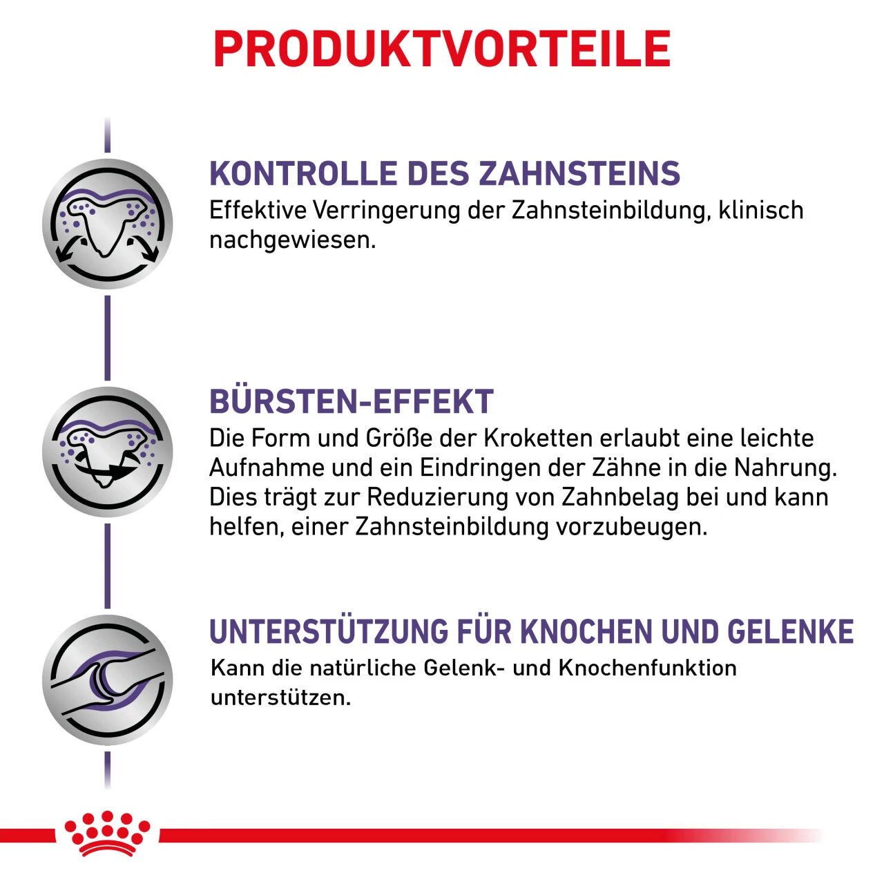 Royal Canin Expert Dental Medium & Large Dogs Trockenfutter Für Hunde 6 Royal Canin Expert Dental Medium & Large Dogs Trockenfutter Für Hunde – Bild 4