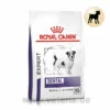 Royal Canin Expert Dental Small Dogs Trockenfutter Für Hunde 1 Royal Canin Expert Dental Small Dogs Trockenfutter Für Hunde -Dechra Verkaufe royal canin dental small dogs