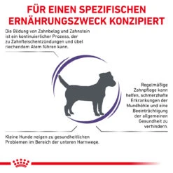 Royal Canin Expert Dental Small Dogs Trockenfutter Für Hunde -Dechra Verkaufe royal canin dental small dogs3