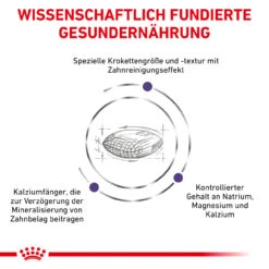 Royal Canin Expert Dental Small Dogs Trockenfutter Für Hunde -Dechra Verkaufe royal canin dental small dogs4