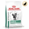 Royal Canin Diabetic Trockenfutter Für Katzen -Dechra Verkaufe royal canin diabetic trocken katze