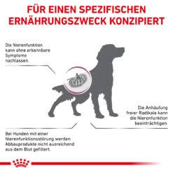 Royal Canin Early Renal Trockenfutter Für Hunde -Dechra Verkaufe royal canin early renal trocken hund5