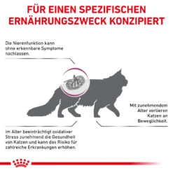 Royal Canin Early Renal Trockenfutter Für Katzen -Dechra Verkaufe royal canin early renal trocken katze5