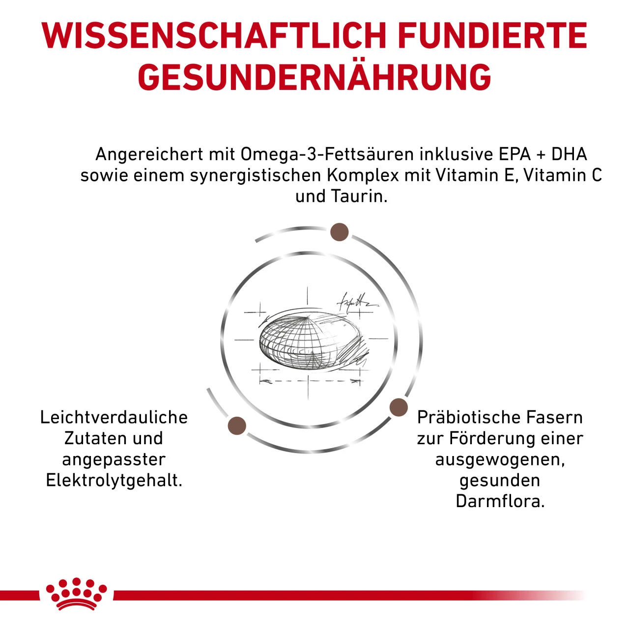 Royal Canin Gastrointestinal High Fibre Trockenfutter Für Hunde 7 Royal Canin Gastrointestinal High Fibre Trockenfutter Für Hunde – Bild 5