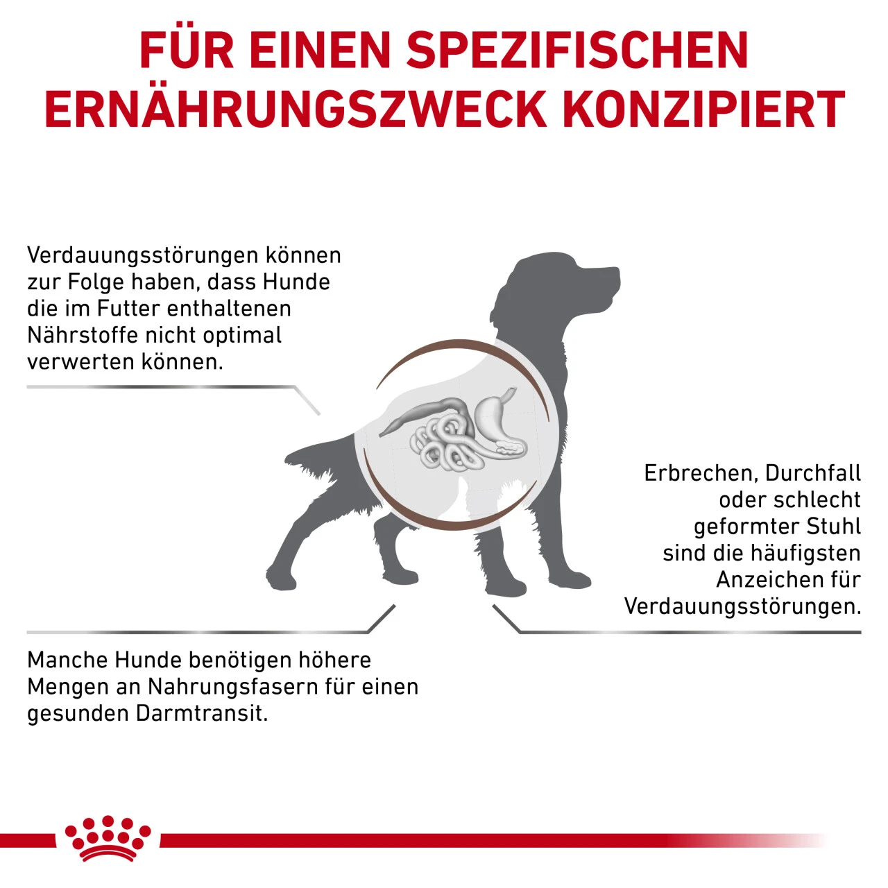 Royal Canin Gastrointestinal High Fibre Trockenfutter Für Hunde 8 Royal Canin Gastrointestinal High Fibre Trockenfutter Für Hunde – Bild 6