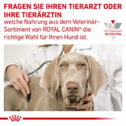 Royal Canin Gastrointestinal Moderate Calorie Trockenfutter Für Hunde -Dechra Verkaufe royal canin gastro intestinal moderate calorie hund8
