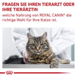 Royal Canin Gastrointestinal Fibre Response Trockenfutter Für Katzen 21 Royal Canin Gastrointestinal Fibre Response Trockenfutter Für Katzen -Dechra Verkaufe royal canin gastrointestinal fibre response katze10