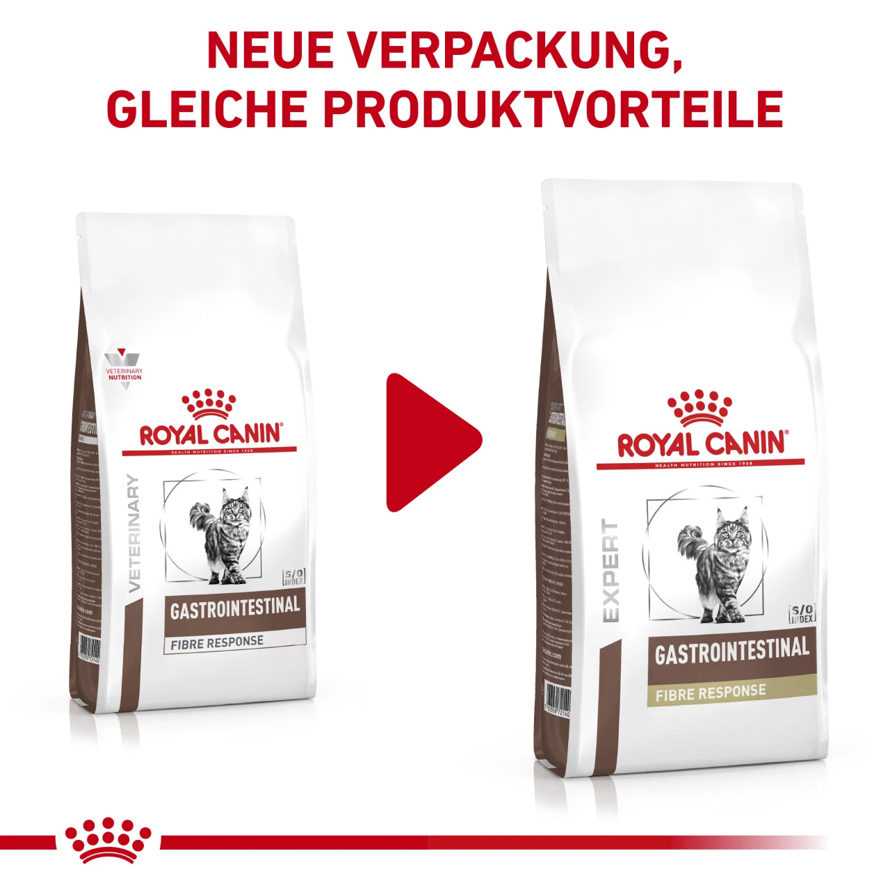 Royal Canin Gastrointestinal Fibre Response Trockenfutter Für Katzen 4 Royal Canin Gastrointestinal Fibre Response Trockenfutter Für Katzen – Bild 2