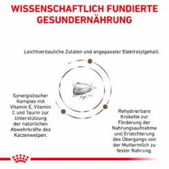 Royal Canin Gastrointestinal Kitten Trockenfutter Für Katzen -Dechra Verkaufe royal canin gastrointestinal kitten trocken4