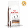 Royal Canin Gastrointestinal Low Fat Small Dogs Trockenfutter Für Hunde 2 Royal Canin Gastrointestinal Low Fat Small Dogs Trockenfutter Für Hunde -Dechra Verkaufe royal canin gastrointestinal low fat small dogs trockenfutter hund
