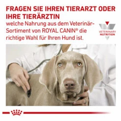 Royal Canin Gastrointestinal Low Fat Small Dogs Trockenfutter Für Hunde -Dechra Verkaufe royal canin gastrointestinal low fat small dogs trockenfutter hund9