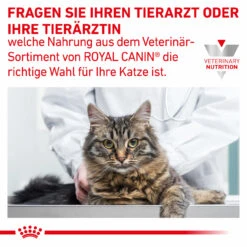 Royal Canin Gastrointestinal Moderate Calorie Trockenfutter Für Katzen -Dechra Verkaufe royal canin gastrointestinal moderate calorie trocken katze10