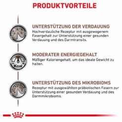 Royal Canin Gastrointestinal Moderate Calorie Trockenfutter Für Katzen -Dechra Verkaufe royal canin gastrointestinal moderate calorie trocken katze4