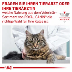 Sparpaket Royal Canin Gastrointestinal Für Katzen -Dechra Verkaufe royal canin gastrointestinal sparpaket katze7