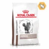 Royal Canin Hepatic Trockenfutter Für Katzen -Dechra Verkaufe royal canin hepatic katze