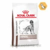 Royal Canin Hepatic Trockenfutter Für Hunde -Dechra Verkaufe royal canin hepatic trocken hund